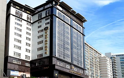 Gangnam Artnouveau city Hotel II